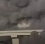 Igor Mesh 🍁🚛✡️🚛🍁 tweet media