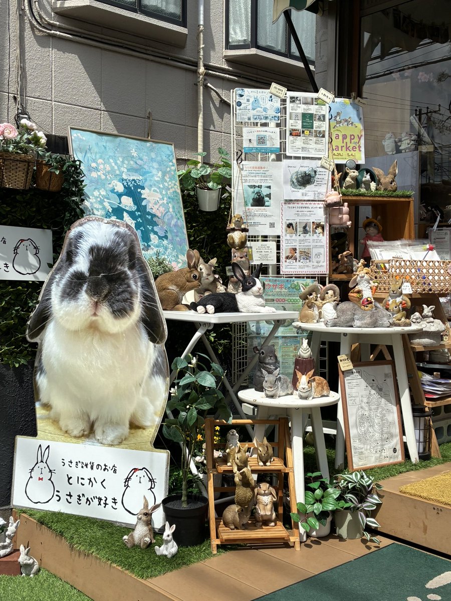 すな かける(4/5🧟参戦4/11ﾗﾌﾞｽﾋﾟ) tweet media