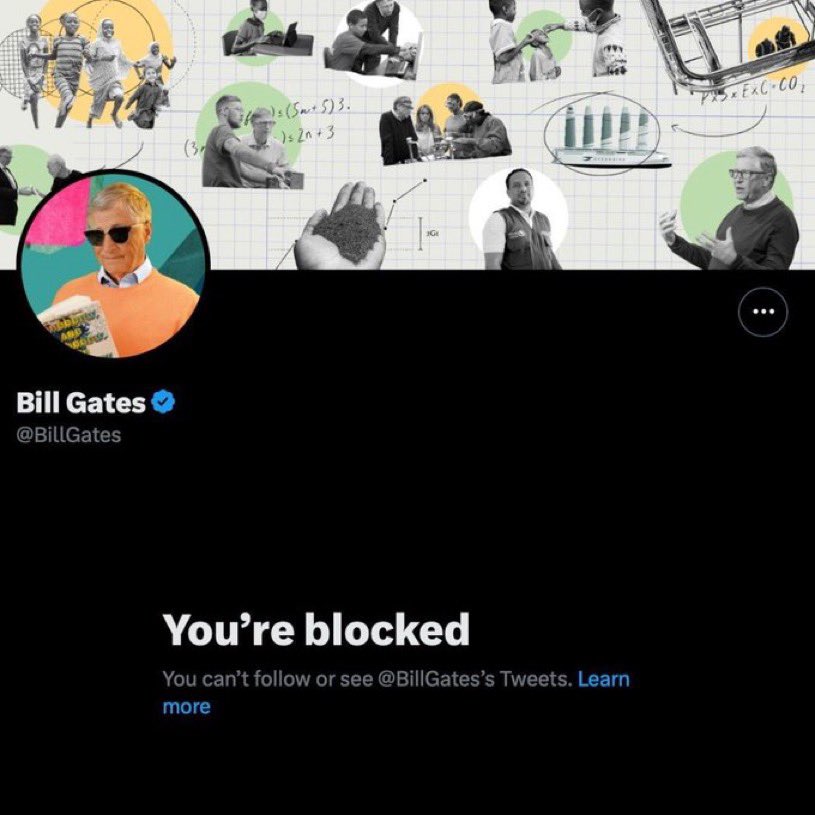 Not Elon Musk tweet media