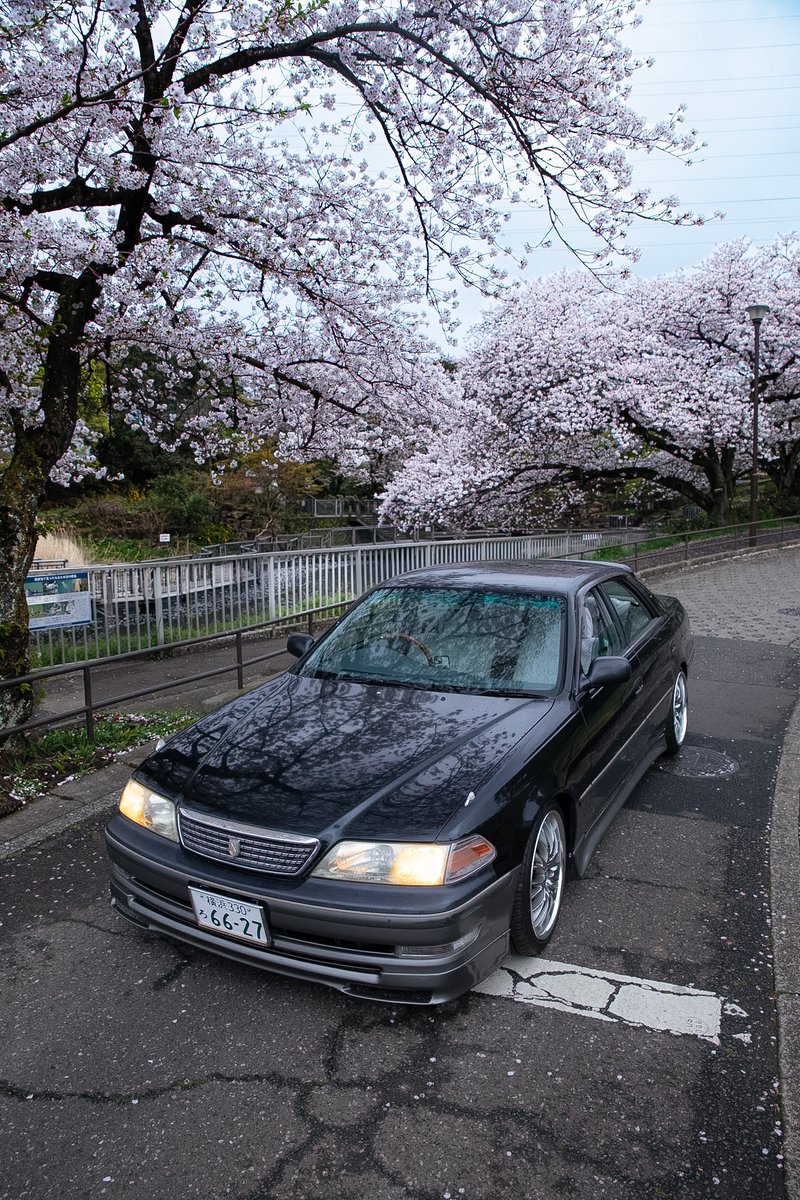 motoki_r1's tweet photo. お花見JDM🌸
#TOYOTA
#MarkII
#GX100 https://t.co/2rn09oLKkf