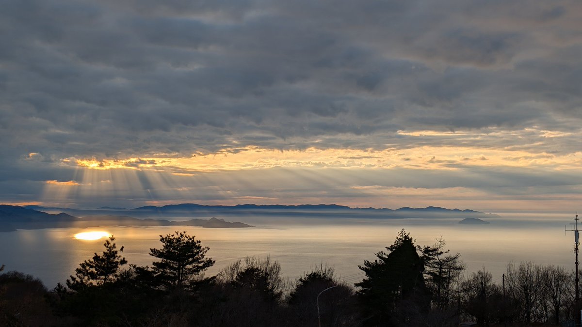 どんくん tweet media