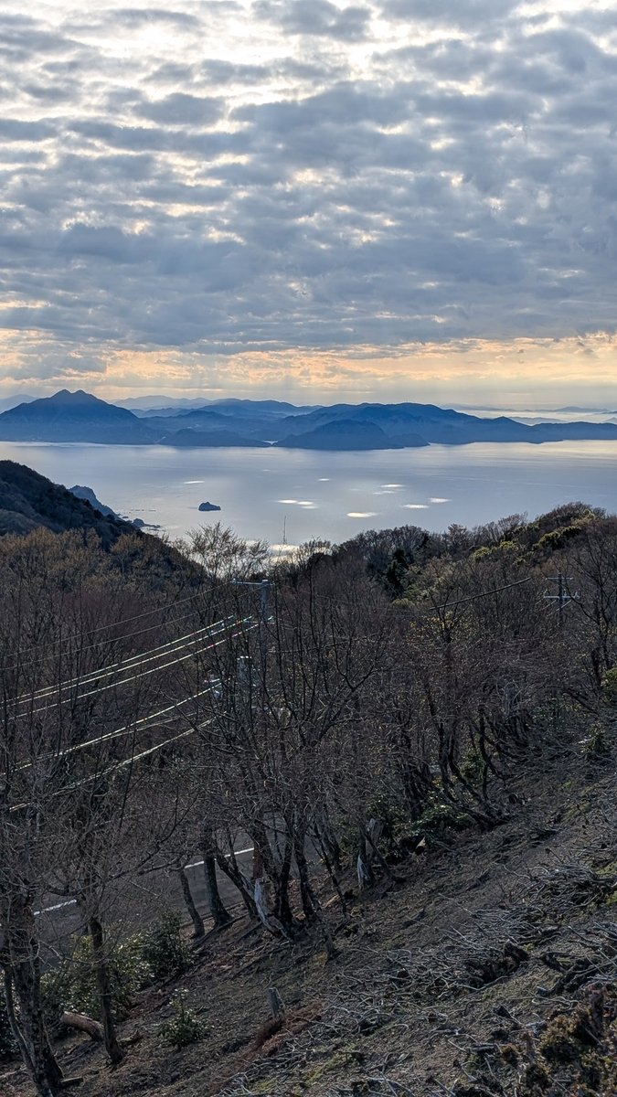 どんくん tweet media