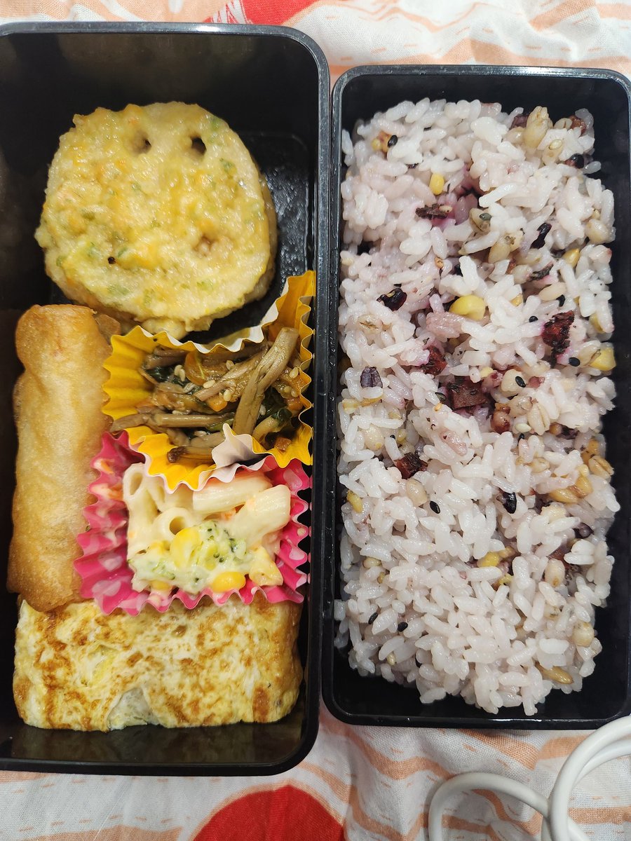 🐻❄️🐠🦋伝説のコバロッテ(麗子さんに圧倒的感謝) tweet media