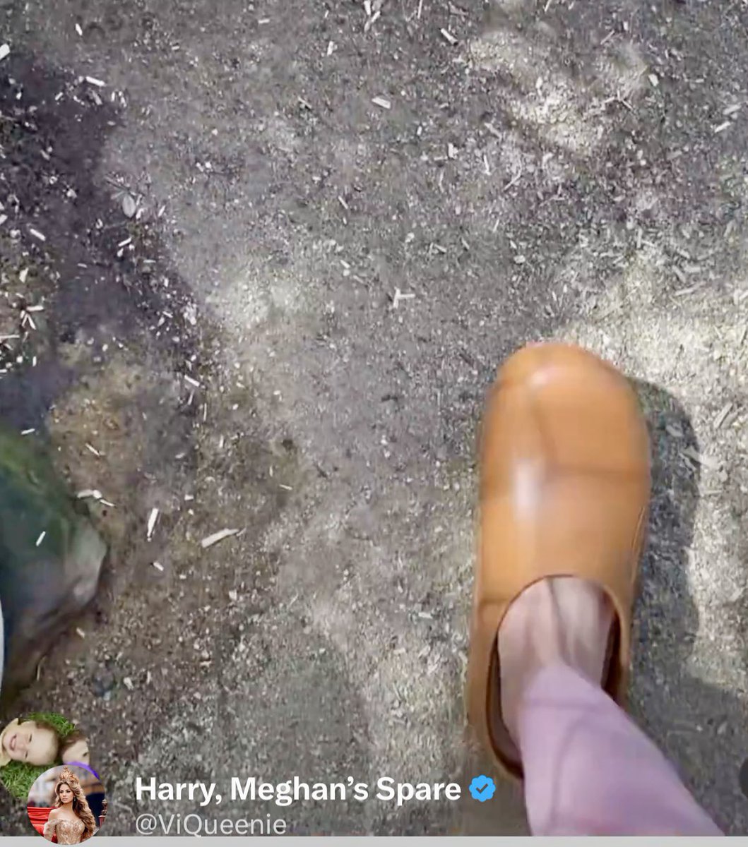 Harry, Meghan’s Spare tweet media