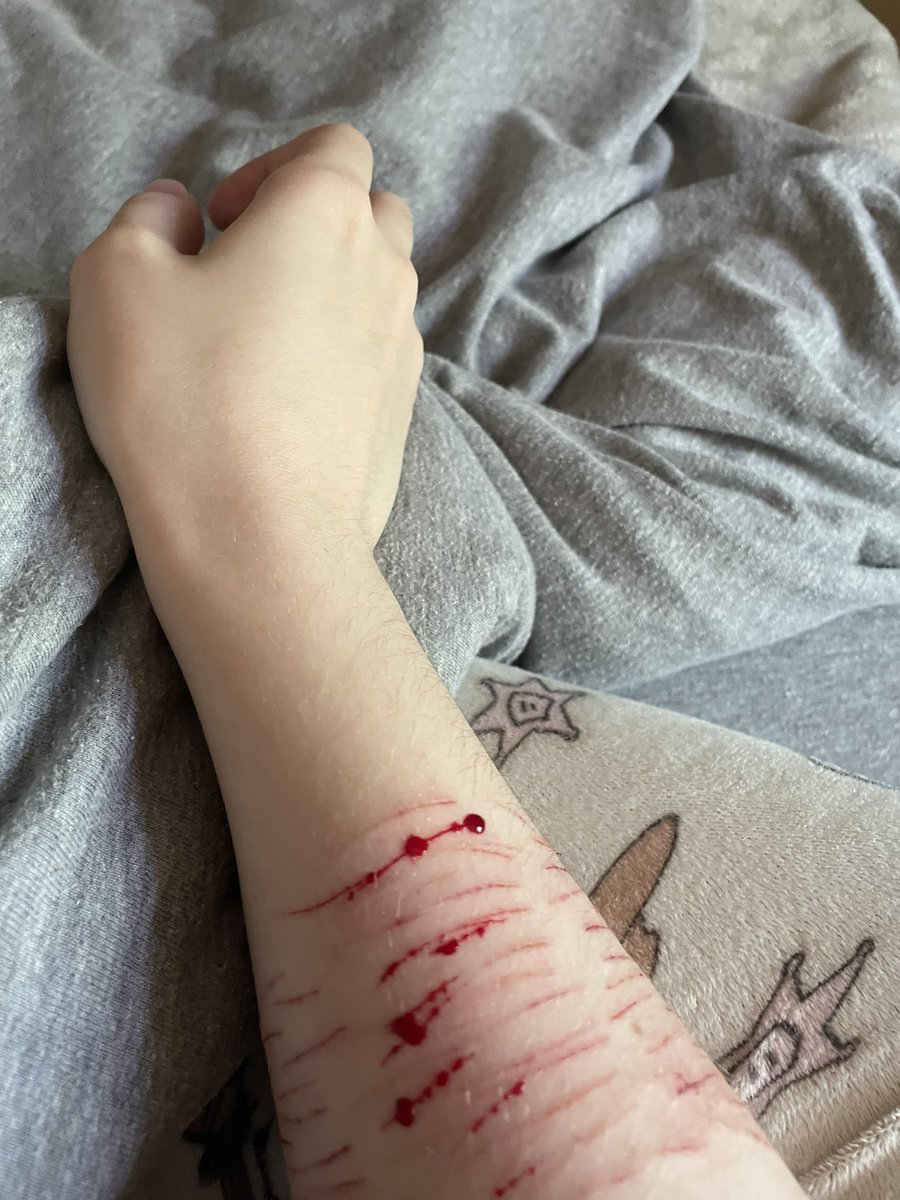 will✨ ed/drgtwt tweet media