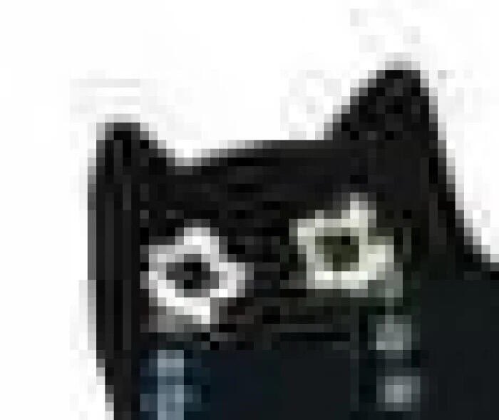 肆肆肆肆 tweet media