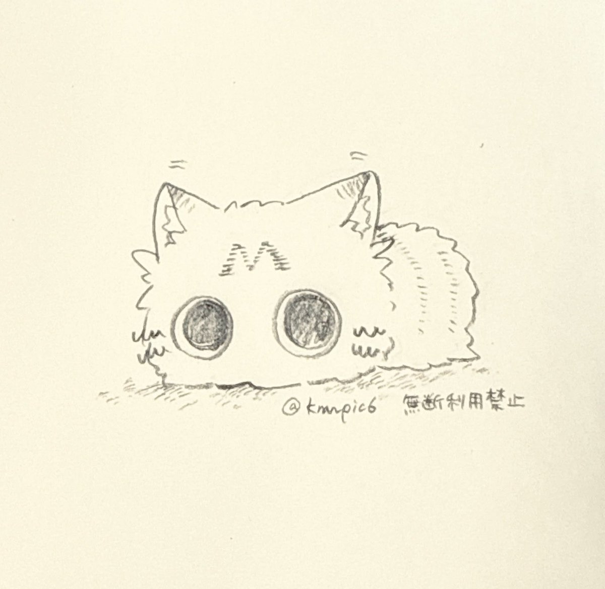 くまの🐱 tweet media