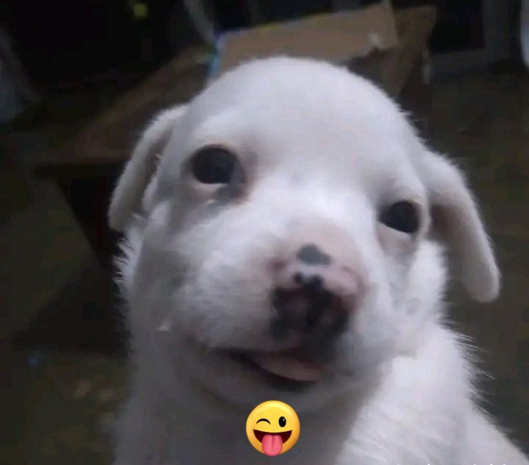 ིꩇׁׅ֪݊ ɑׁׅtׁׅtׁׅhׁׅ֮ꫀׁׅܻ݊ᨰׁׅ ུ𐤀 VERÁ A BTS🇲🇽 tweet media