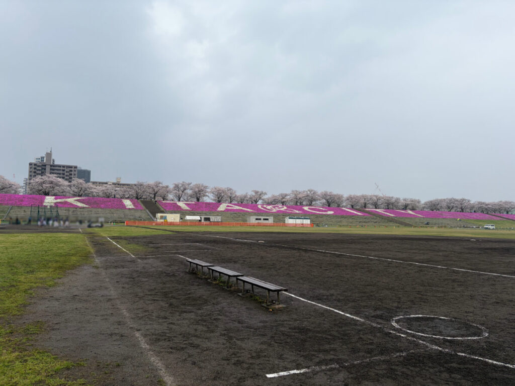 akabanemagazine's tweet photo. 赤羽の荒川土手の芝桜。
今年も「KITA・CITY」のフラワーアートが素敵。 https://t.co/VXeeQvGzR6