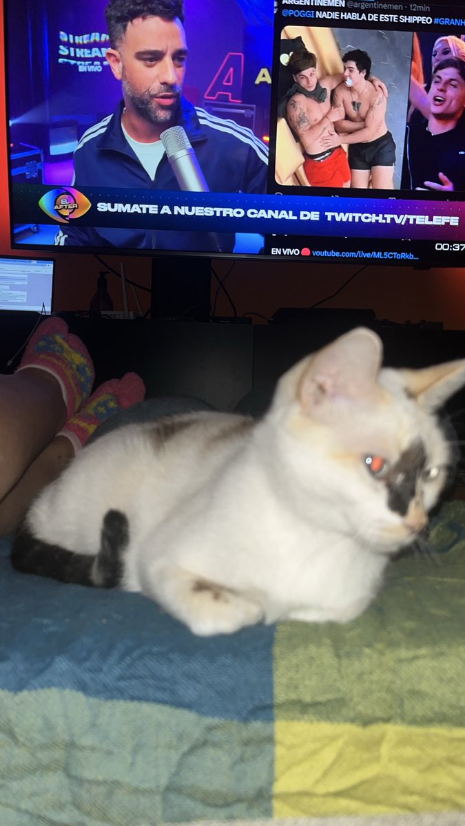 lolefreda's tweet photo. @Poggi  Ella es mi Pamoña https://t.co/RZvjcZjBBv