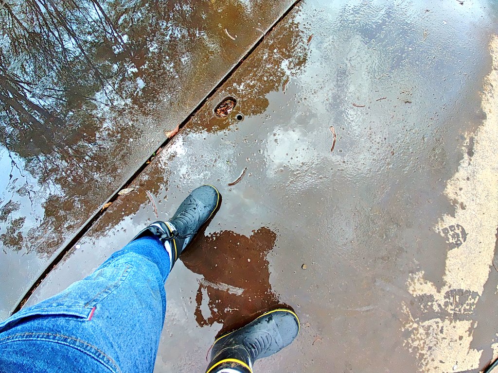 とんかつ tweet media