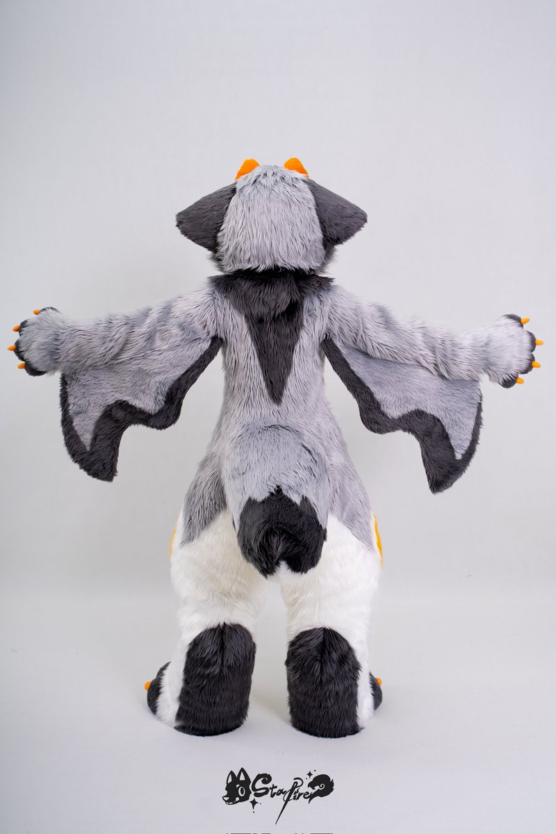 StarFire工坊 tweet media