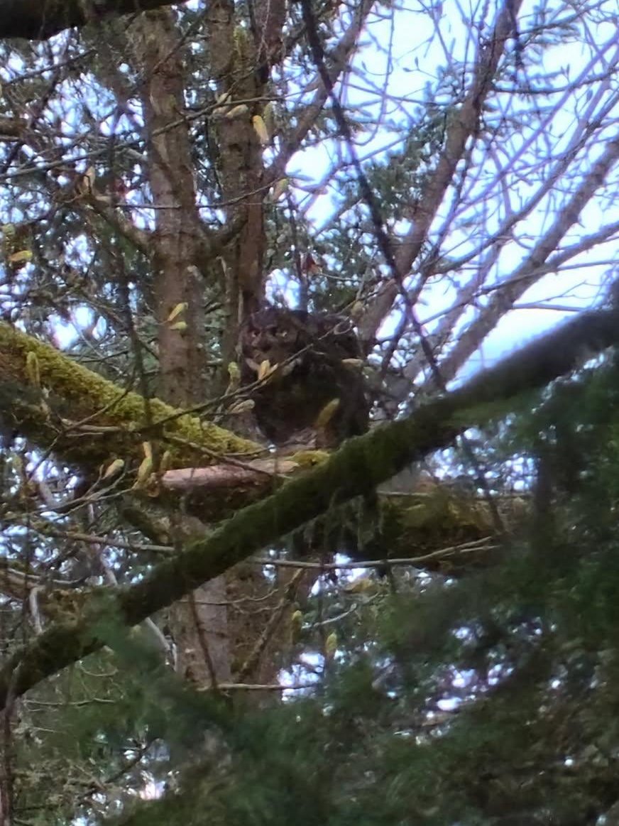 Evergreen Intel tweet media