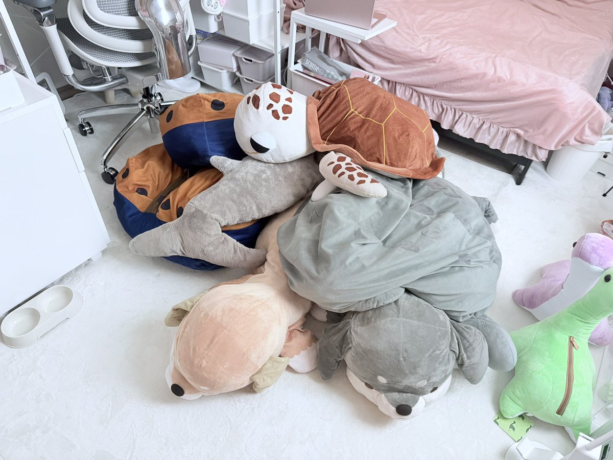 美月ぴあの🩷💜🩵/Piano Mitsuki tweet media