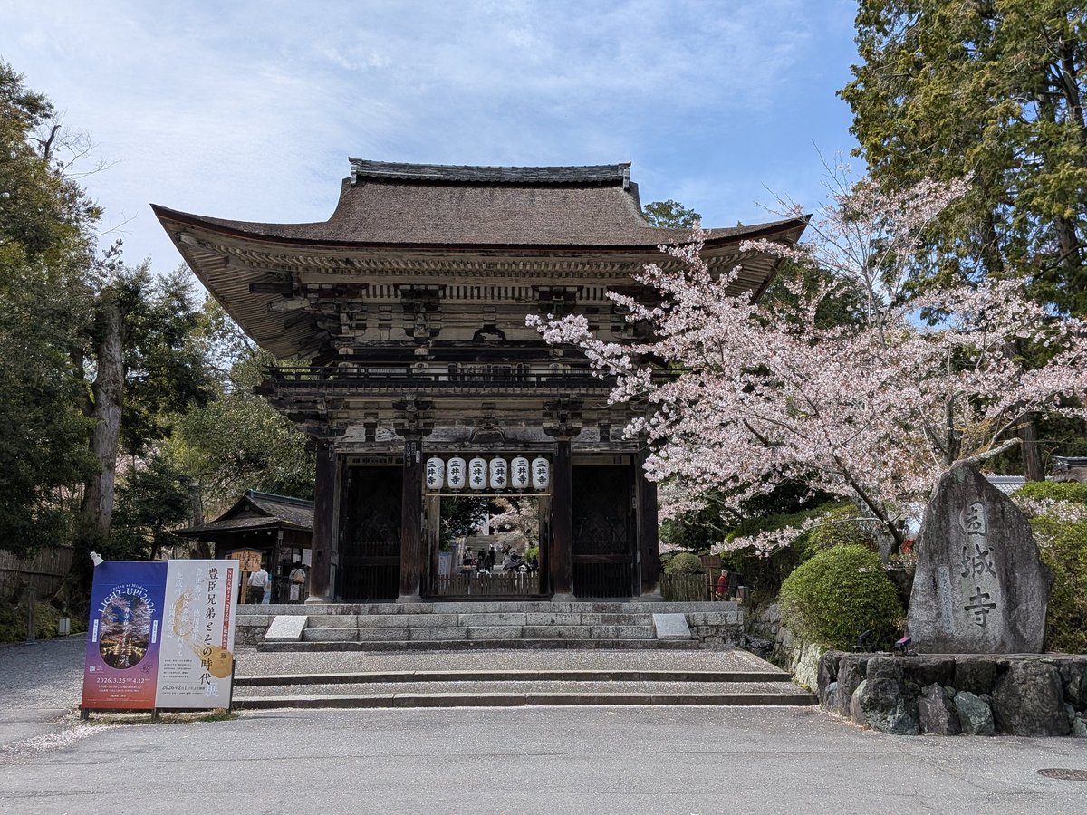 穹-Sola-🍀︎ tweet media