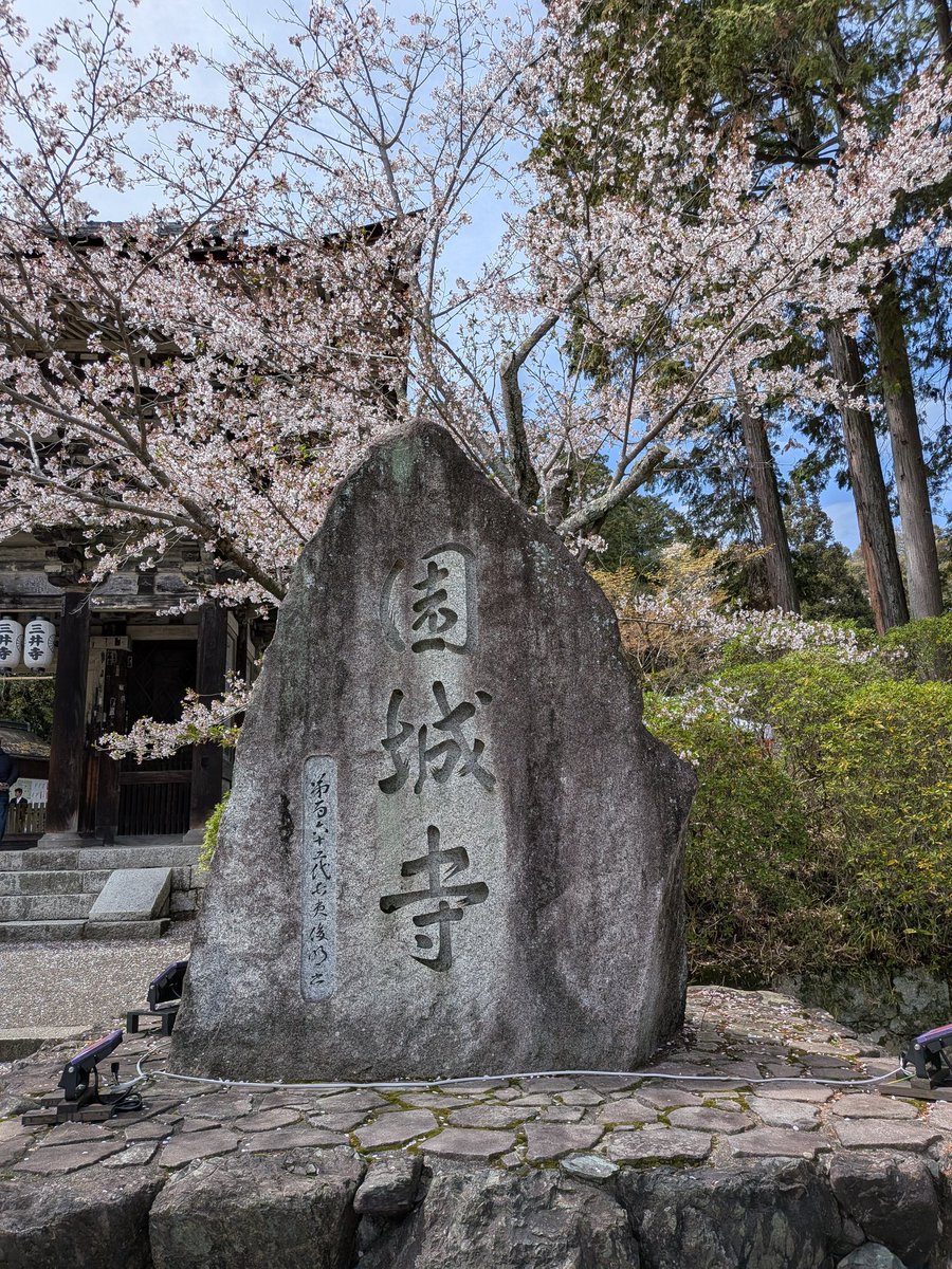 穹-Sola-🍀︎ tweet media