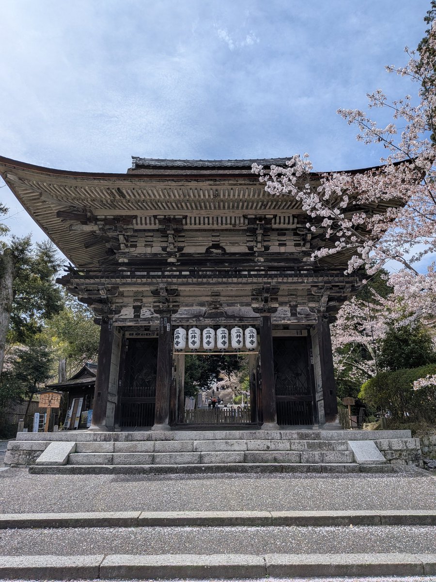 穹-Sola-🍀︎ tweet media