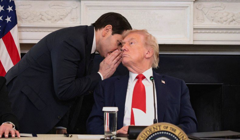 𝐆𝐫𝐢𝐦𝐚𝐥𝐝𝐮𝐬 tweet media