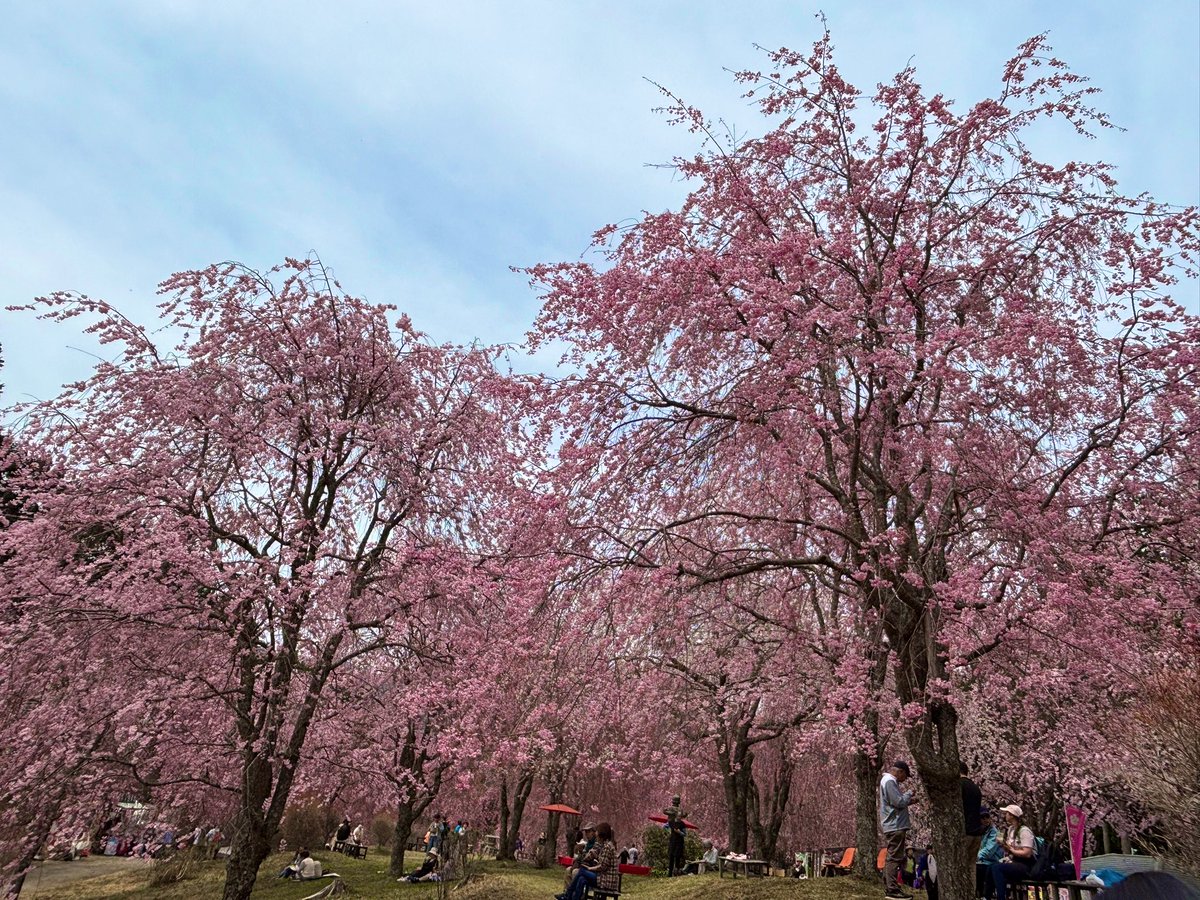 しののめ🌙東雲 tweet media