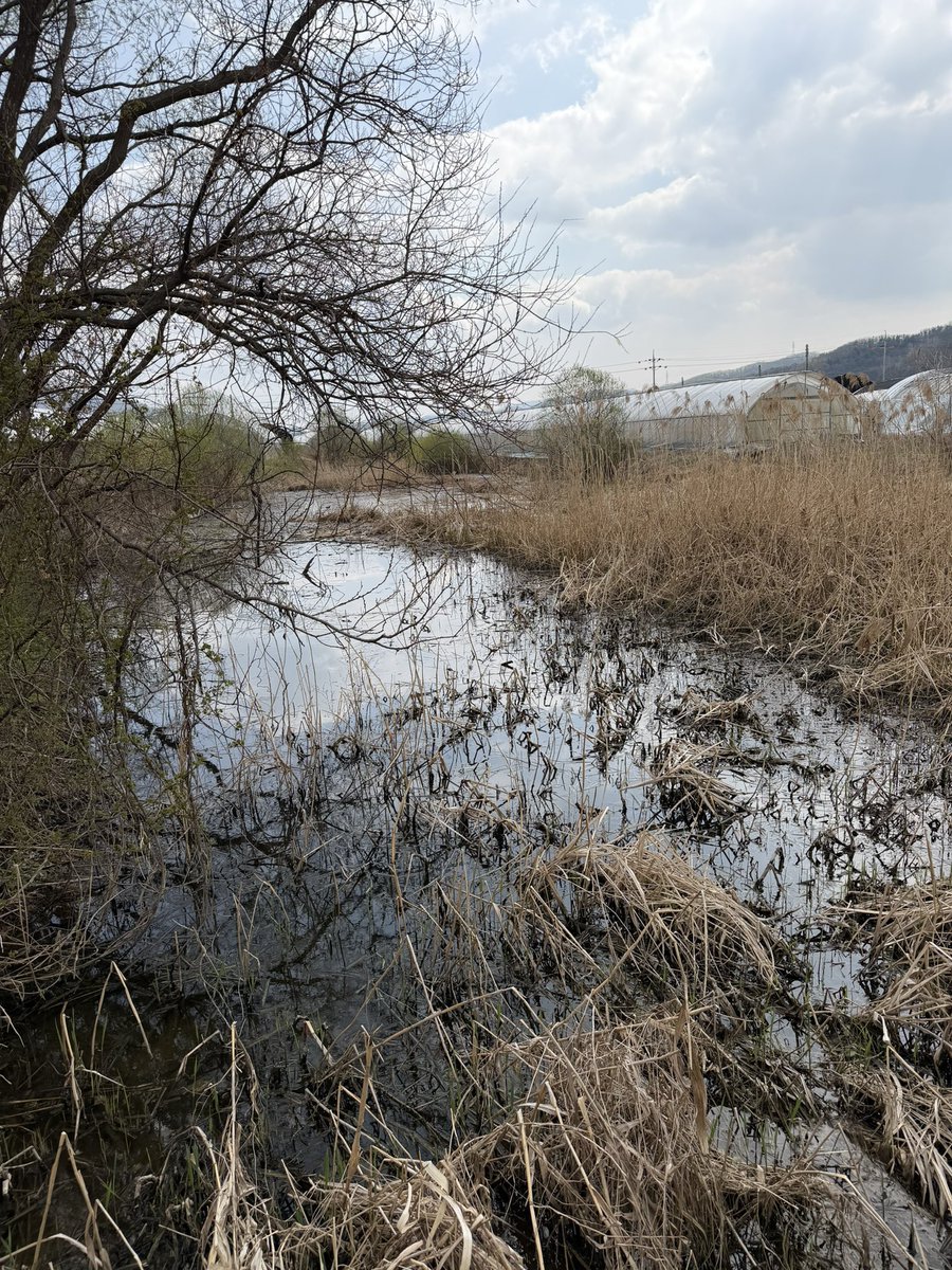 이병호 tweet media