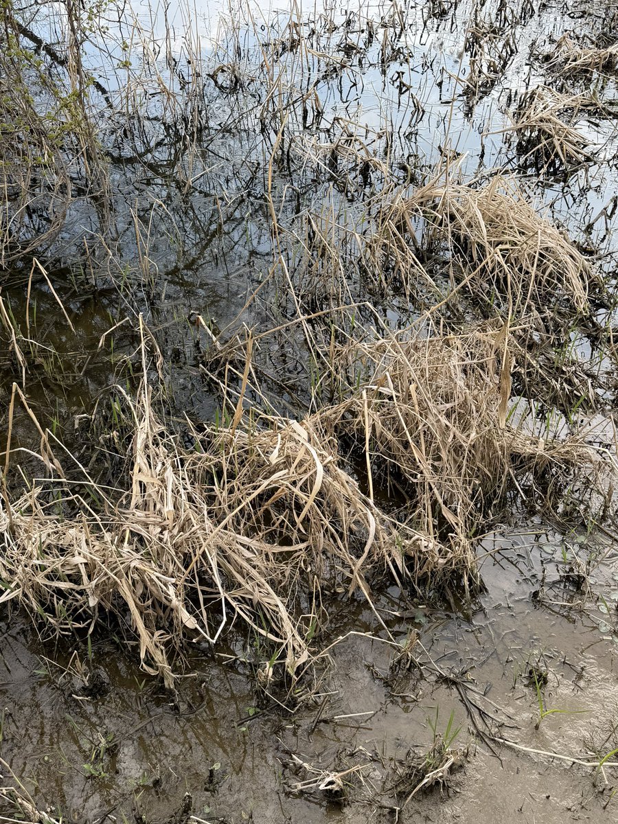 이병호 tweet media