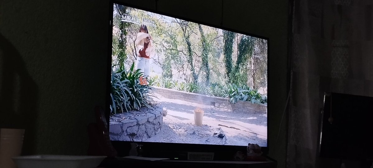 estefi🦋💋❤️‍🩹 tweet media