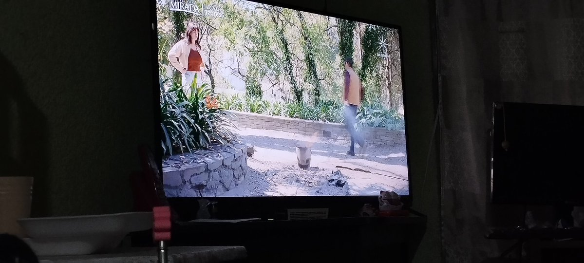 estefi🦋💋❤️‍🩹 tweet media