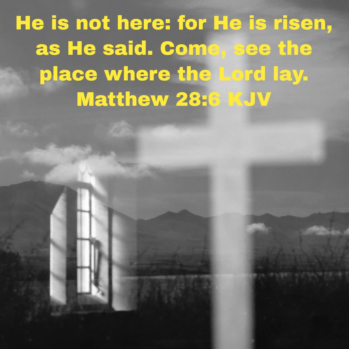 Andrew S. Baker tweet media