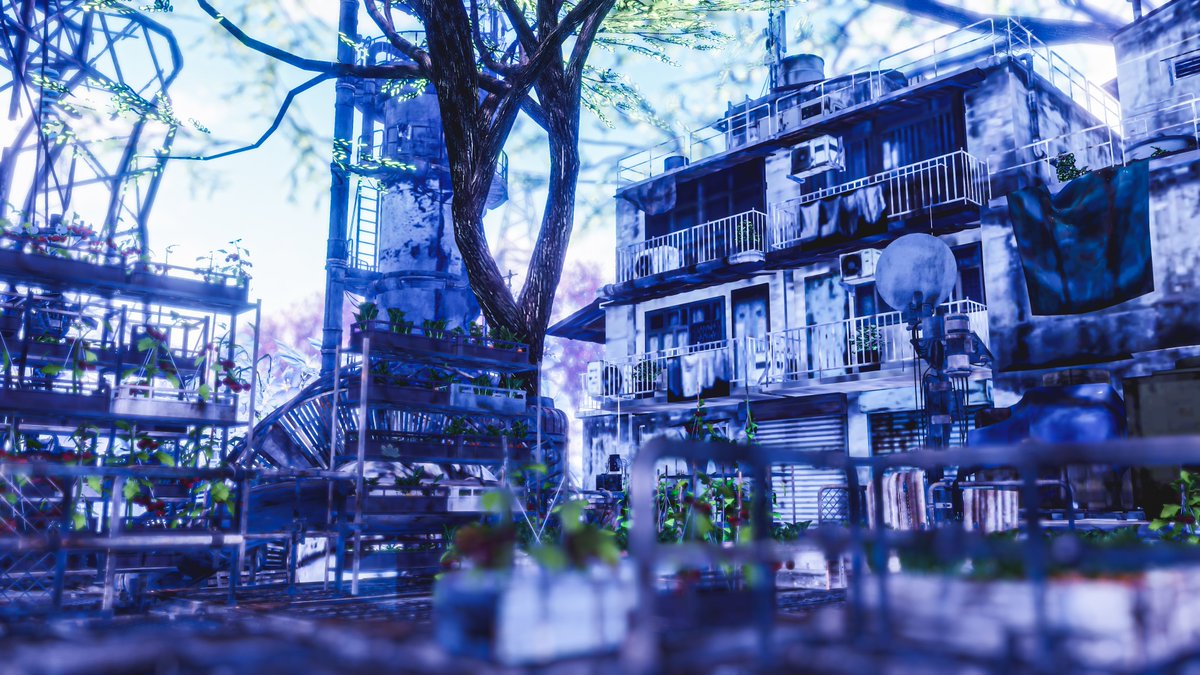 Flip' 📸 tweet media