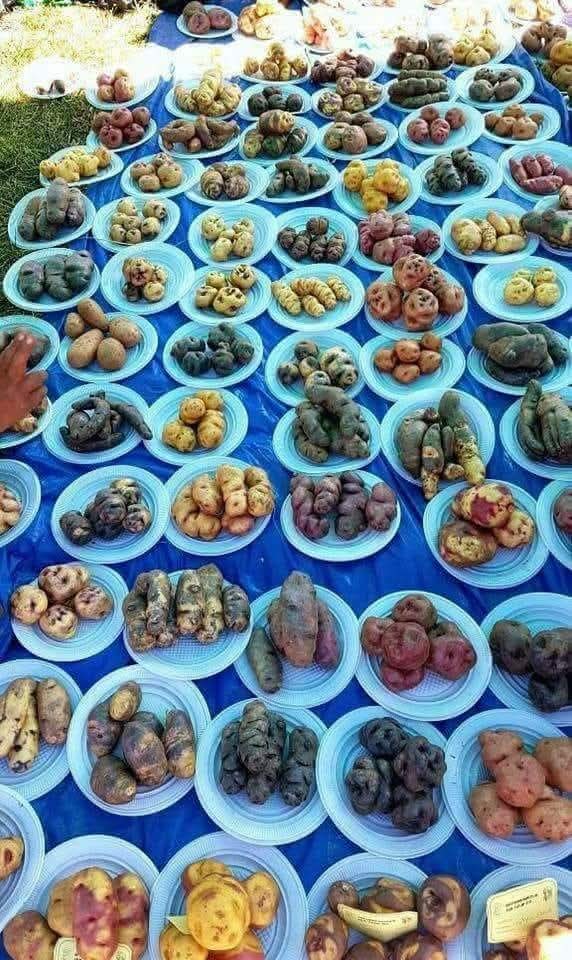 Ediciones Región. tweet media