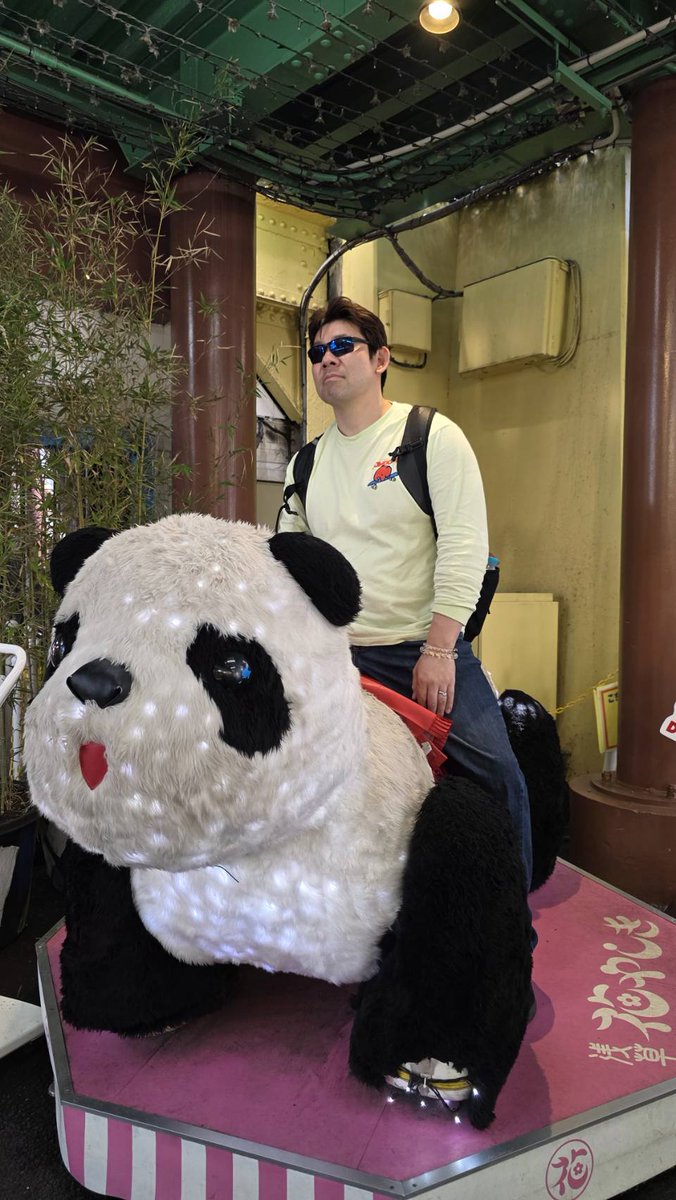 😎🐼