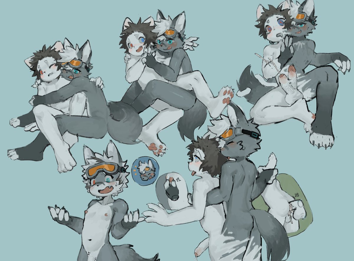 逃走的猫爬架 tweet media