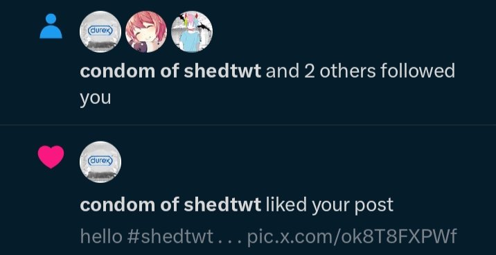 avery of shtwt﹒ ⧼🌱⧽ tweet media