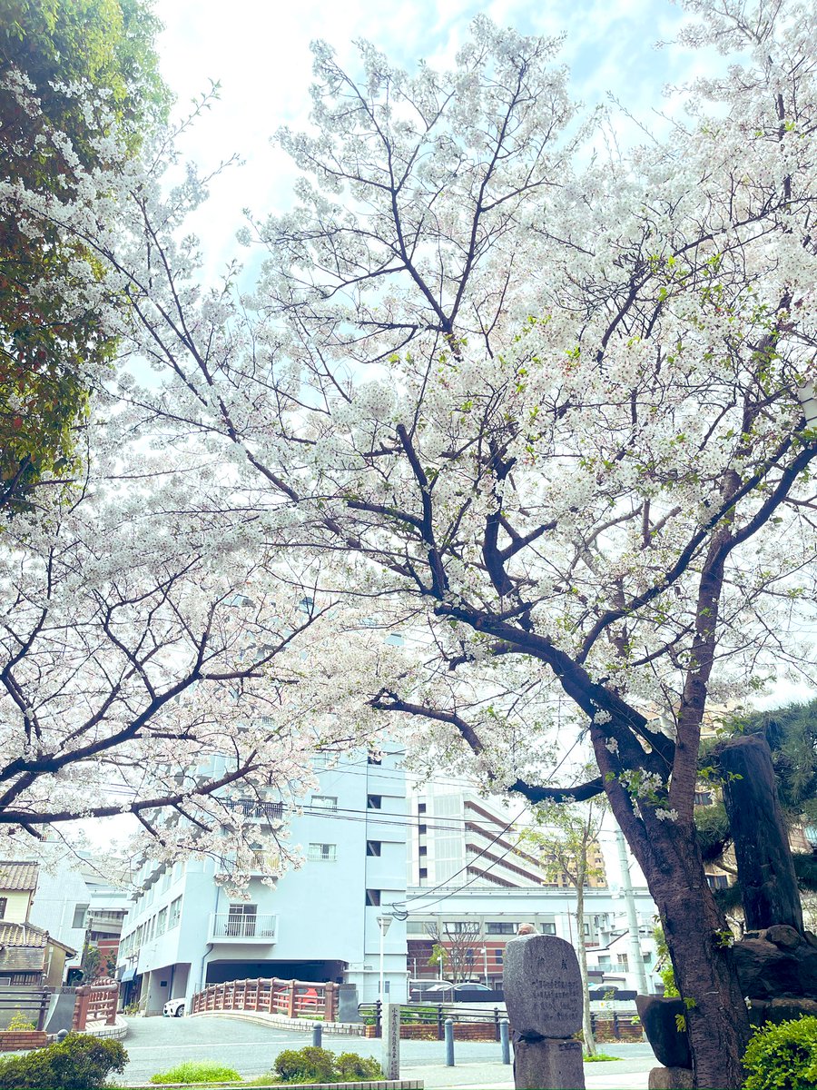 石田 英輔 tweet media