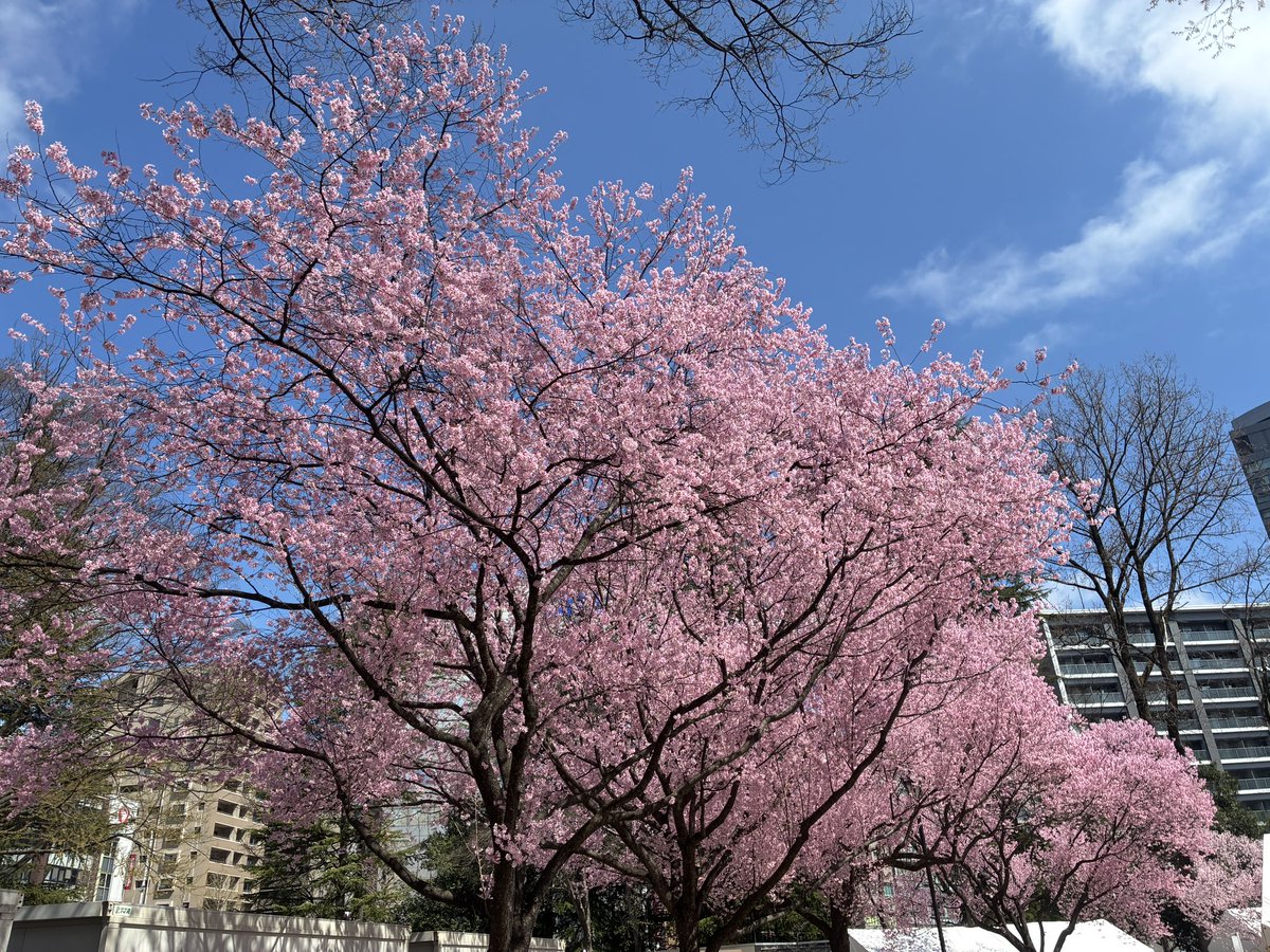 まておりっち tweet media