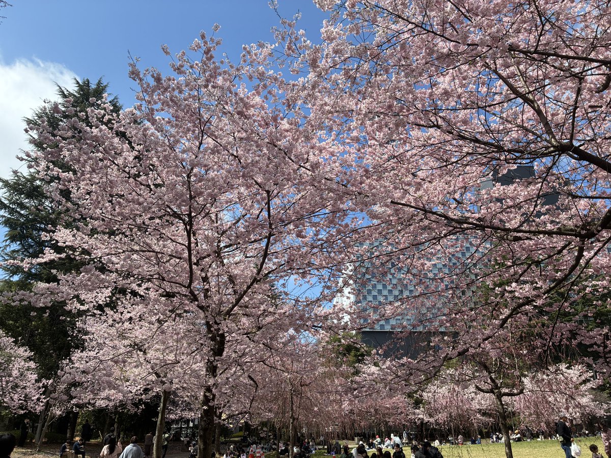 まておりっち tweet media