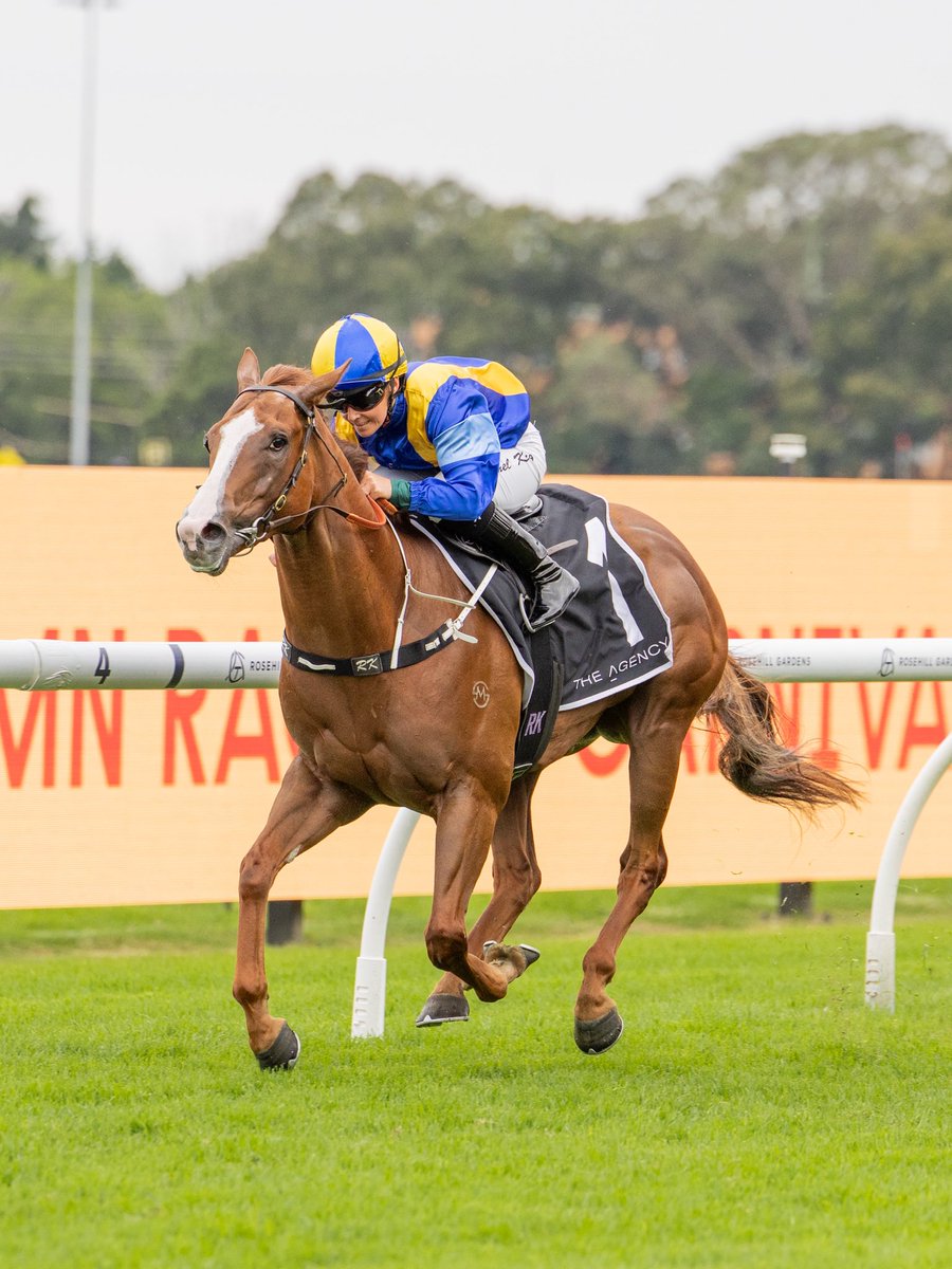 Bjorn Baker Racing tweet media