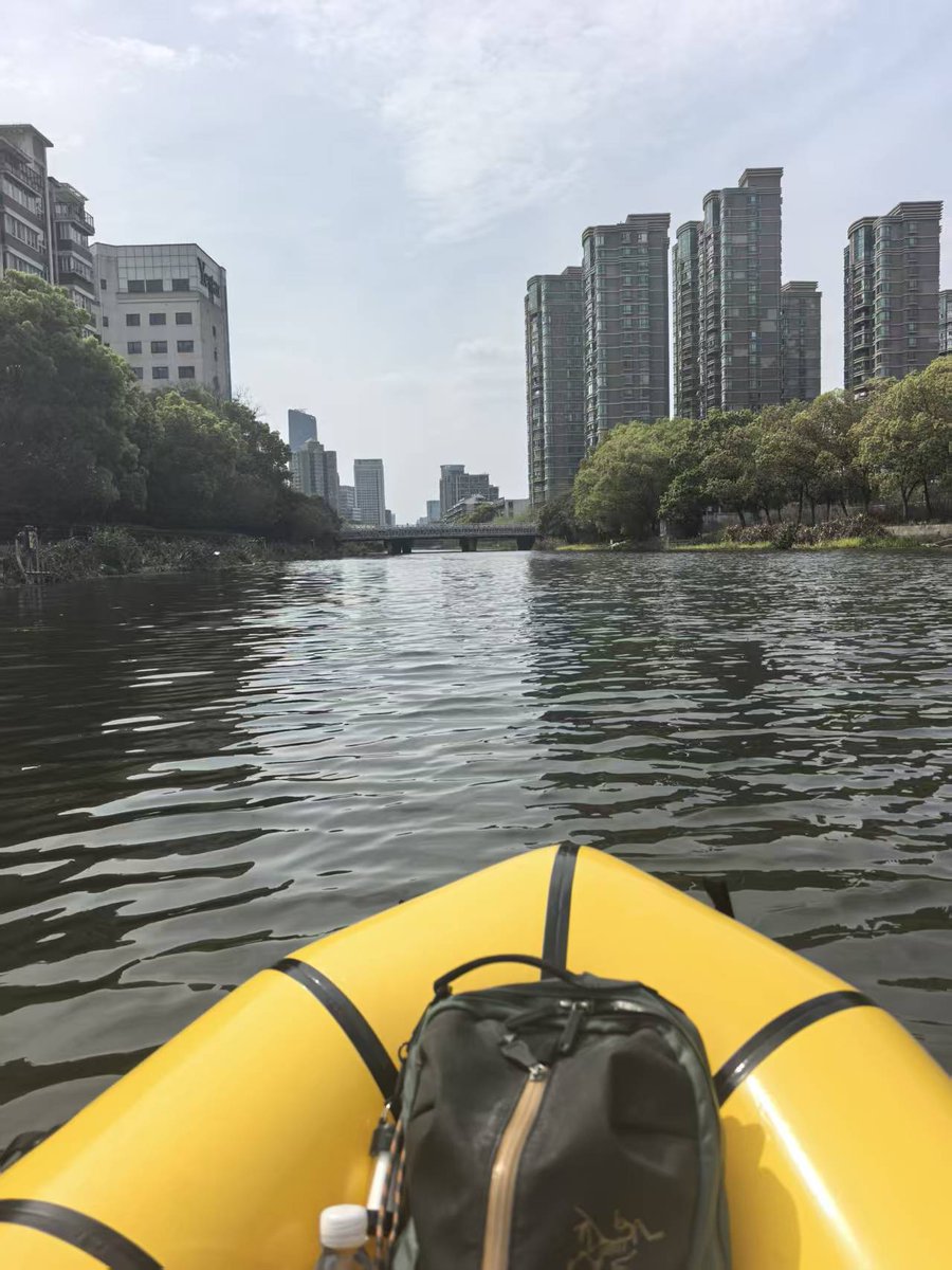 steady77 tweet media