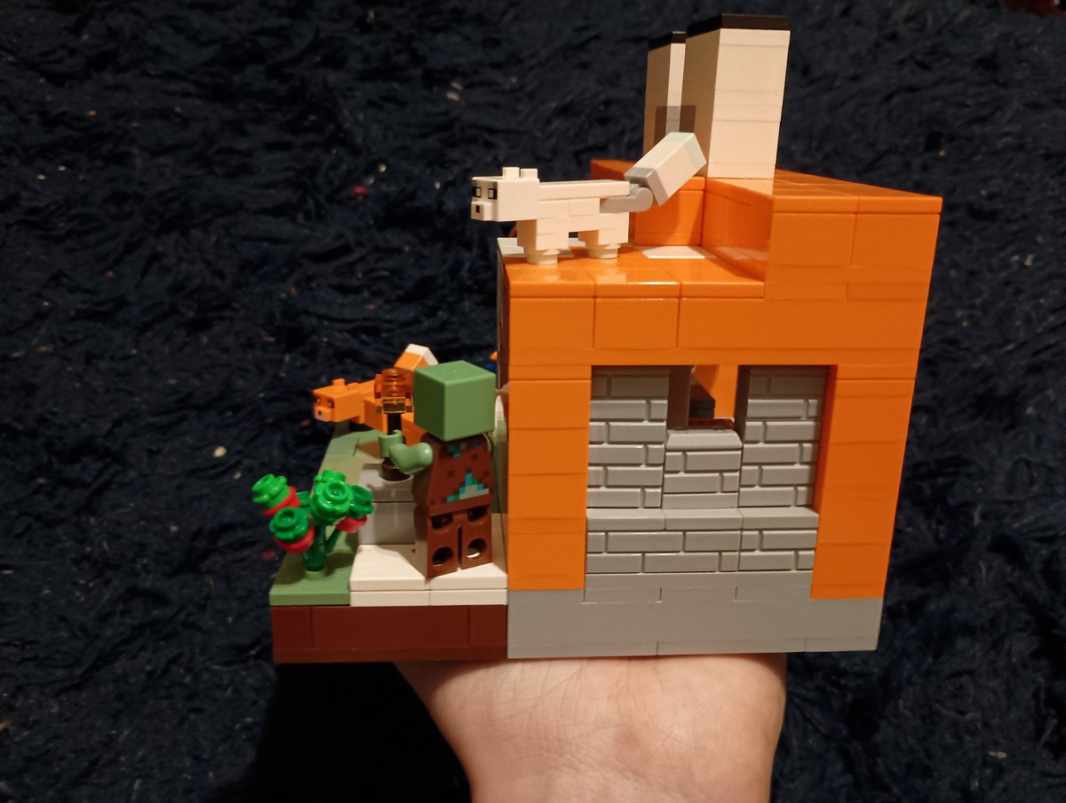 rascal Racoon 🇦🇶 tweet media