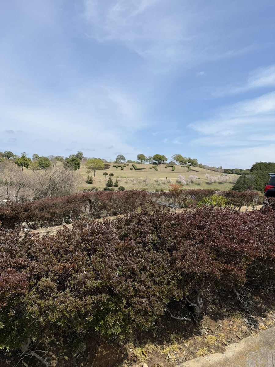 ゴルフ日和でした