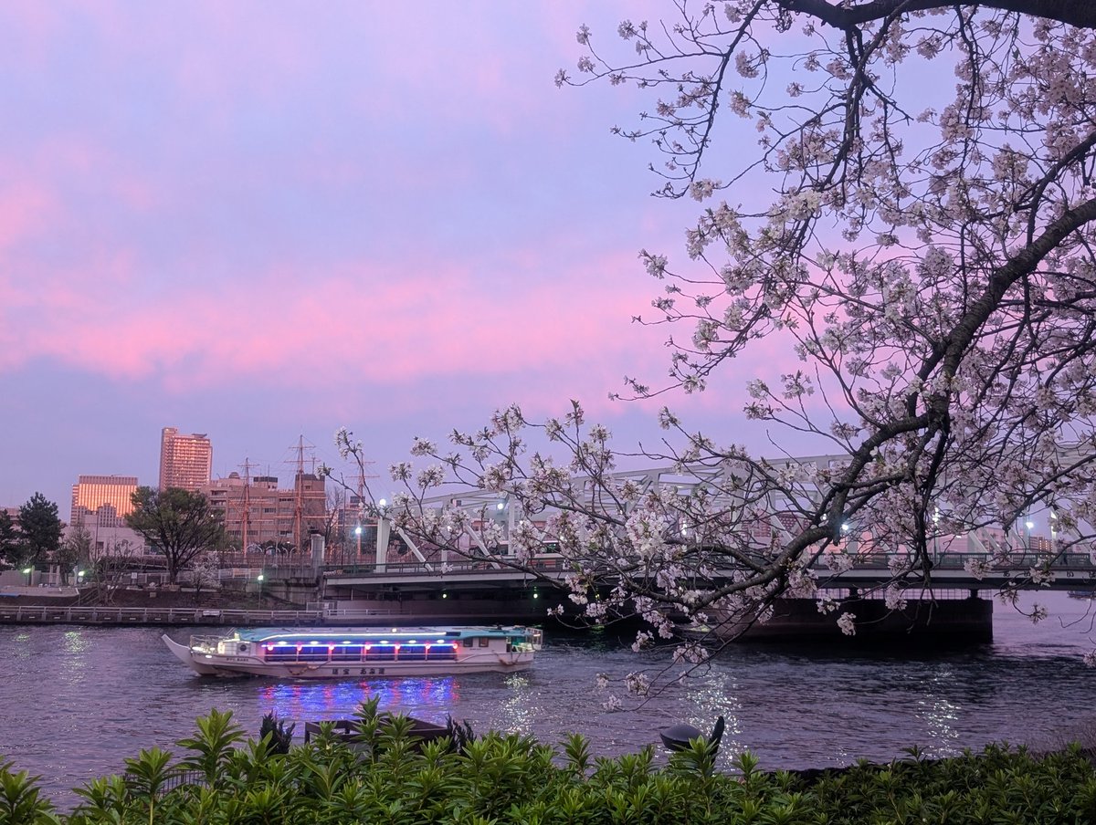 昨日は中央区にて練習、その後少し歩いたところにある桜が綺麗な公園でお花見しました🌸4月初回の練習かつ臨時団員の方が参加する日でもあり、なんだかフレッシュな気持ちでした☺️
もう本番まで3ヶ月切りました！改めて頑張っていきましょう✨
見学も引続き大募集中です❣️
#みゅーくろ
#春から音の葉