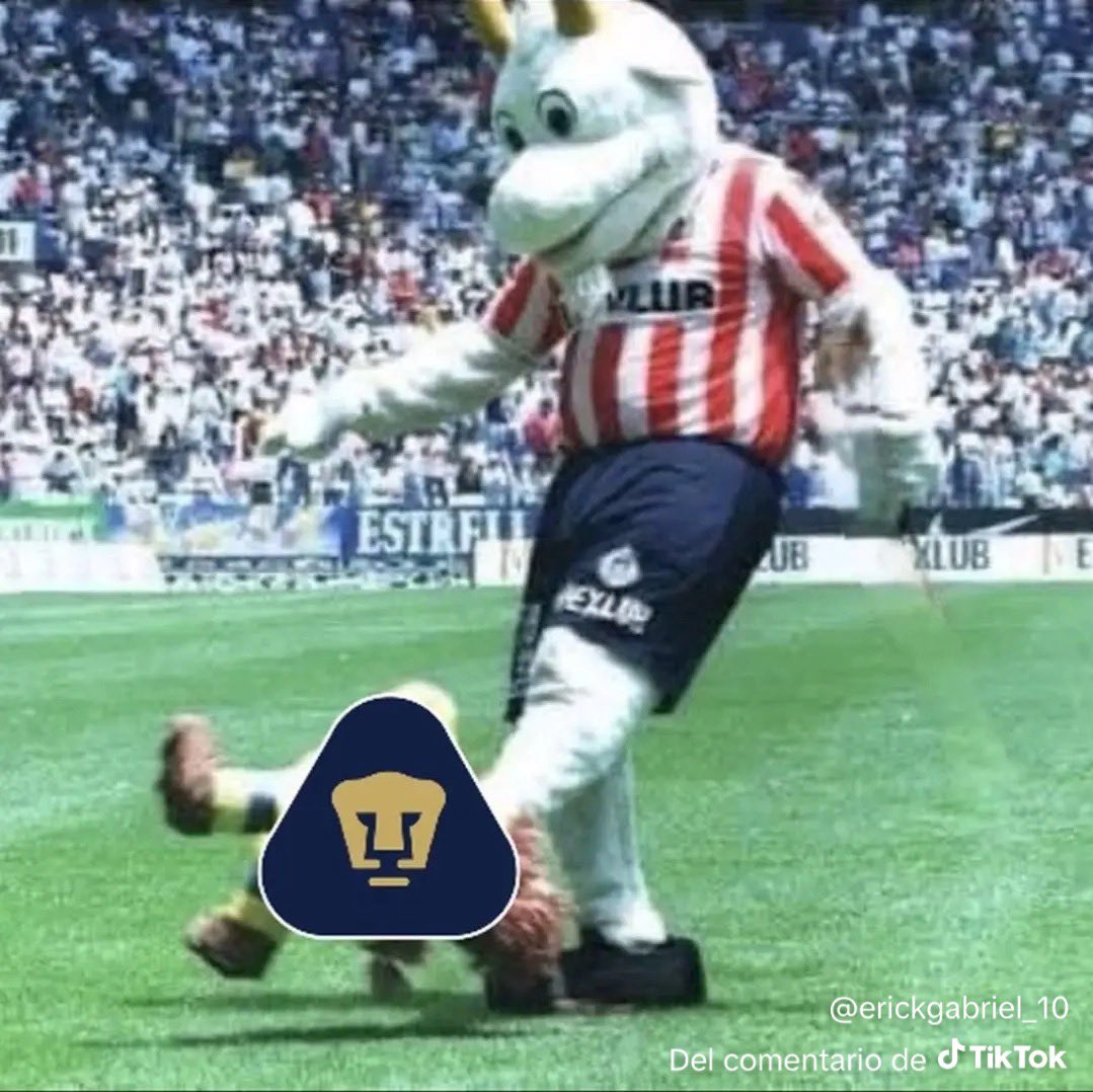 pollito1519's tweet photo. @ponce3433 @Chivas @richydezma @Richymarin19 Cállese perra gol de la hormiga https://t.co/KNw6OoJG4P