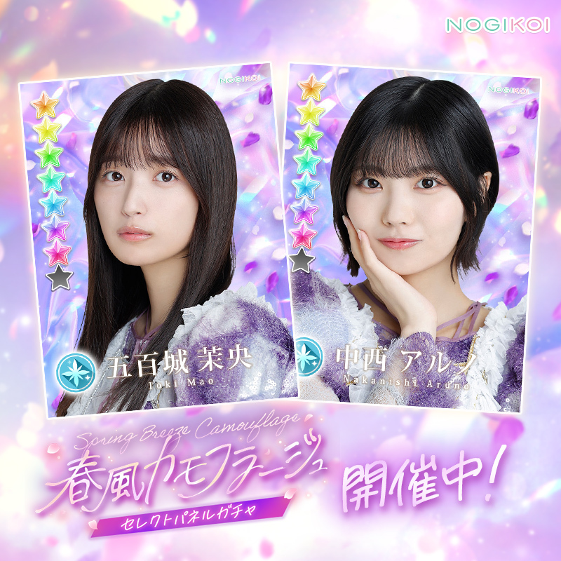 【公式】乃木恋 tweet media