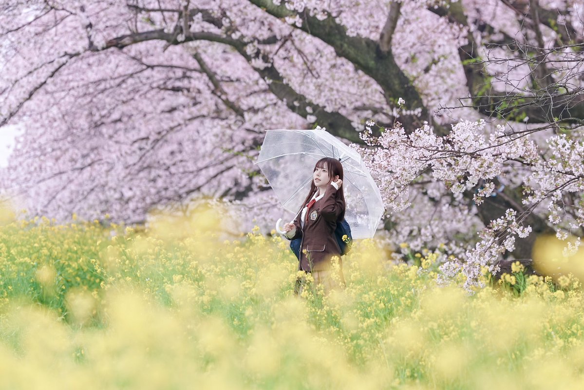 ふう@撮影依頼受付中 tweet media