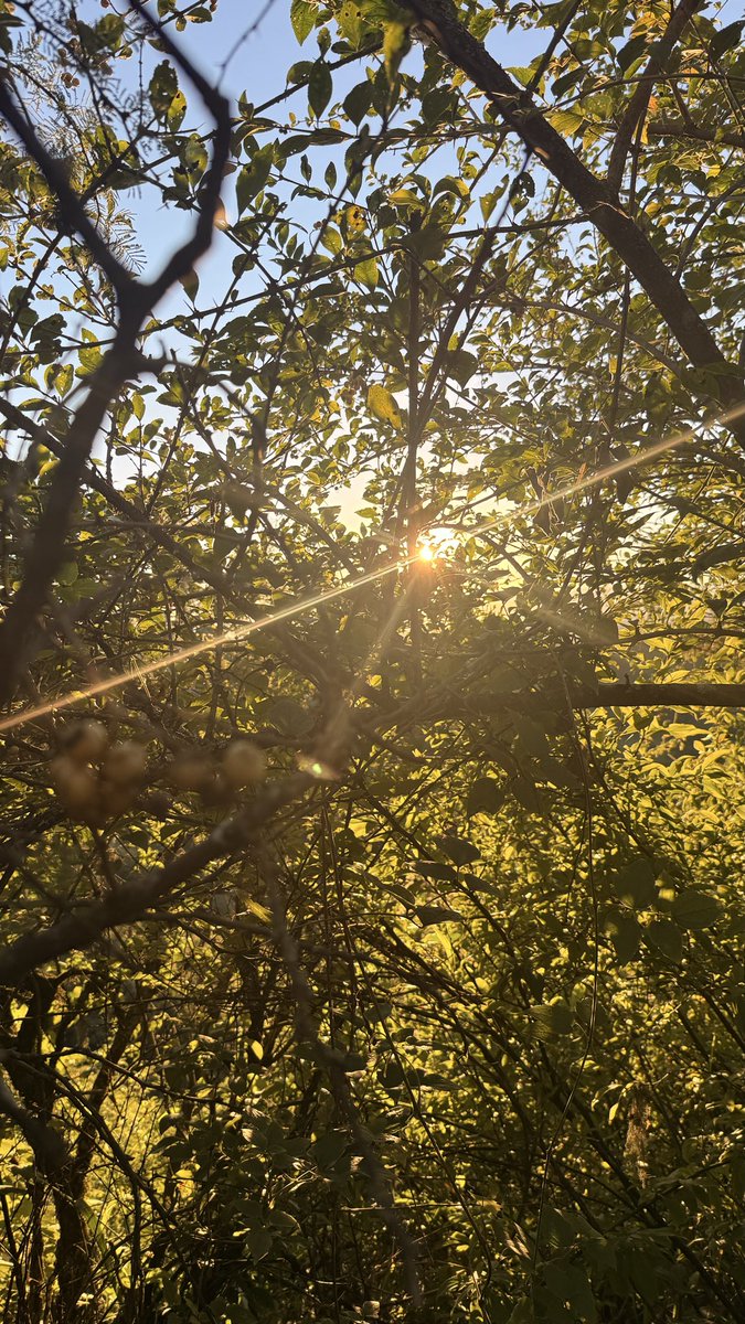 NQuirogaOk's tweet photo. 🍂 https://t.co/NILCaGa7ej