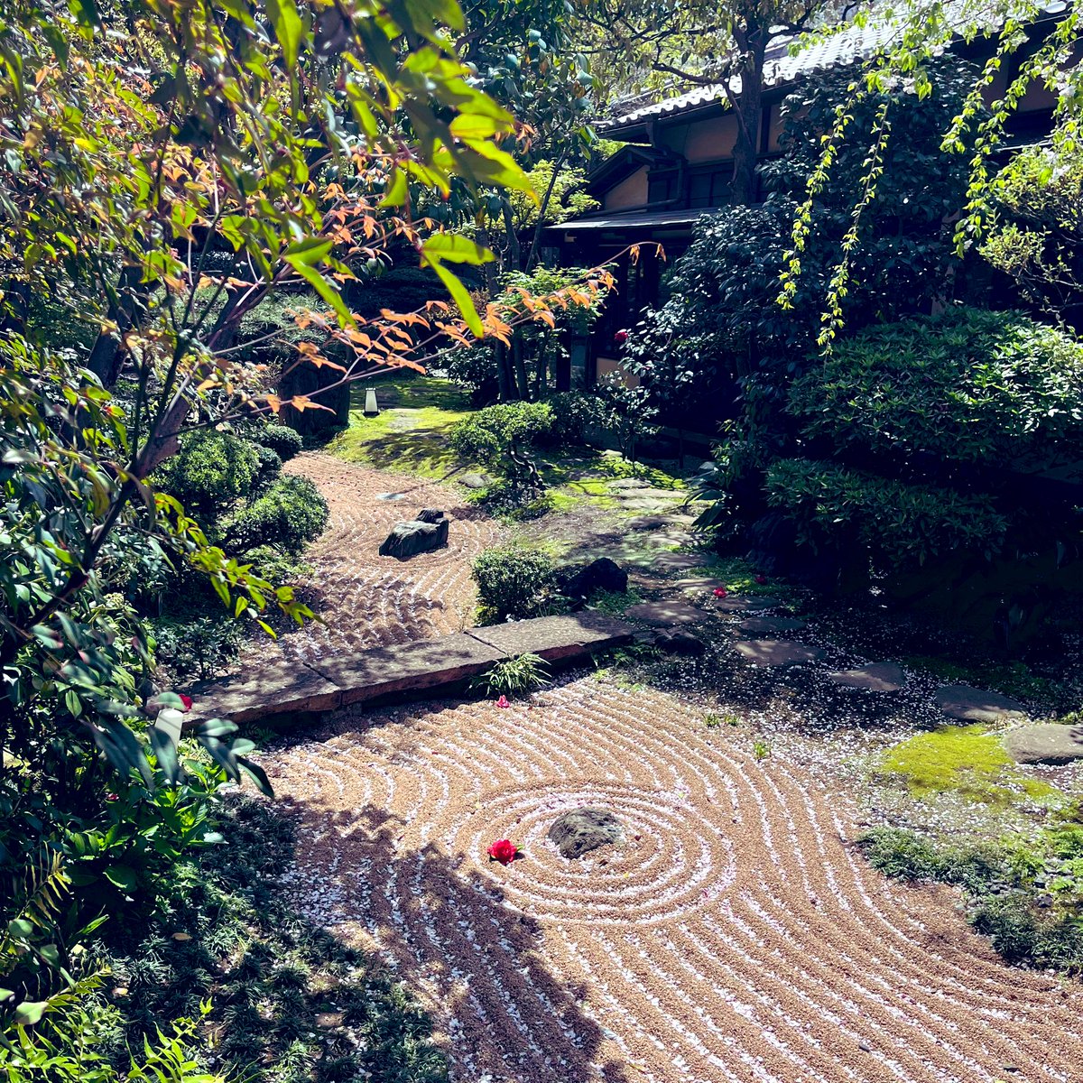 🌾🌾🔨🔨📢📢🚀🚀🤿🤿⋈ tweet media