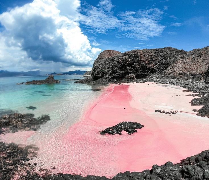 Gabriel Mayan Peter🇯🇵🇺🇸🇳🇬 tweet media