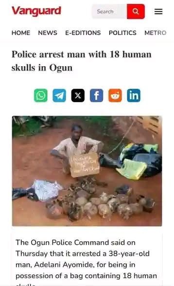 ᵗʰᵉ ᵇᵒᵒᵏ ᵒᶠ ˢᵒᶜⁱᵉᵗʸ ❦ tweet media