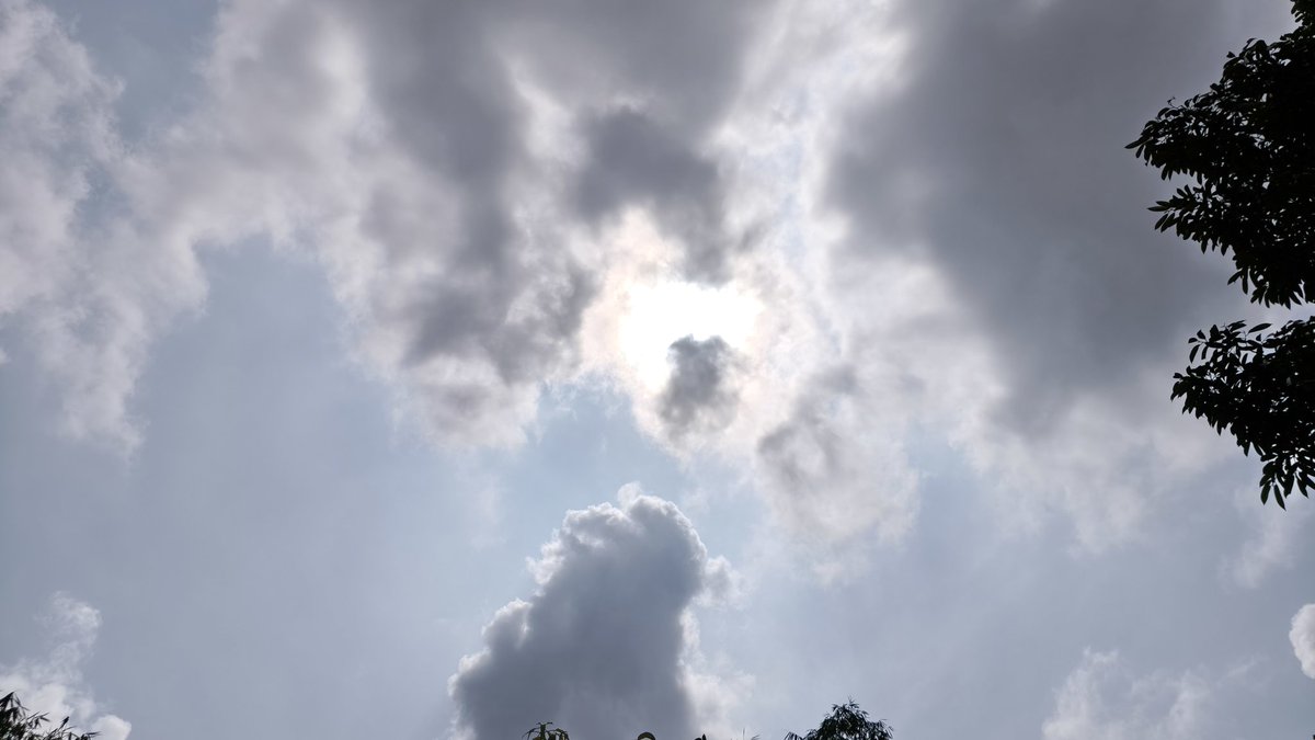 bib new edition tweet media