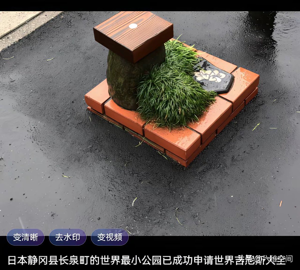 如是我闻 tweet media